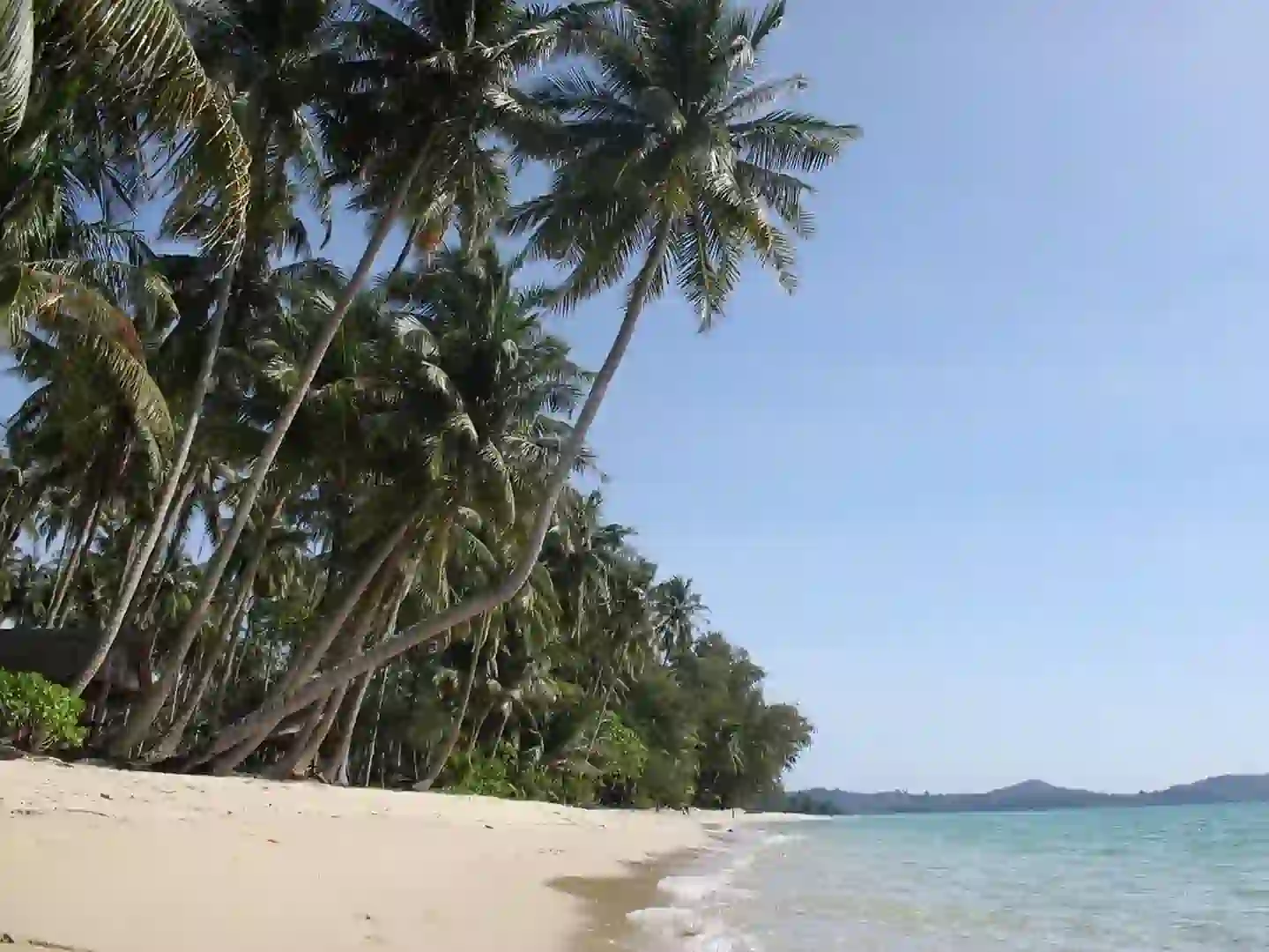 Palmy nad plażą – tropikalny krajobraz Tajlandii