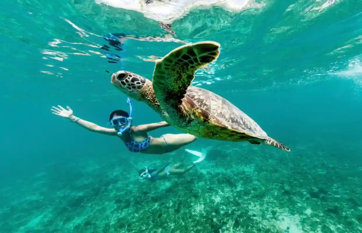 Phuket: Jednodniowa wycieczka Similan łodzią motorową