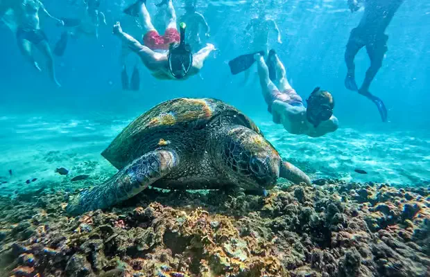 Koh Tao: Koh Nangyuan & Hidden Bays Snorkeling Tour z lunchem