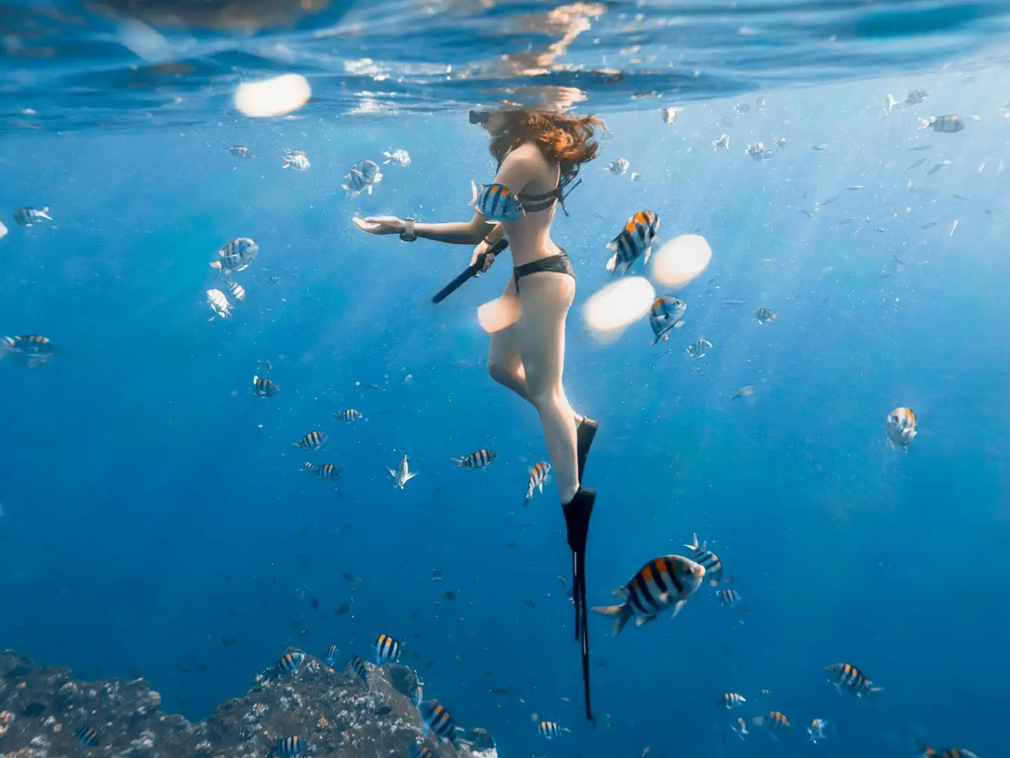 Kobieta snorkelingująca w lazurowej wodzie u wybrzeży Phuket wśród kolorowych ryb